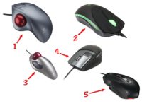 Как правильно выбрать мышку для компьютера?