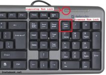 Как включить правые цифры на клавиатуре компьютера?